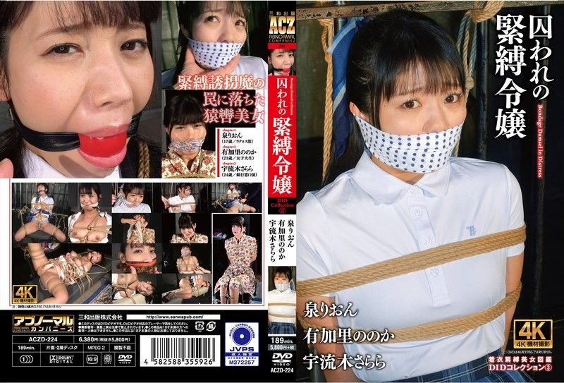 囚禁束縛女士DID合集3